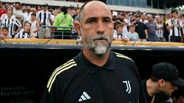  الكرواتي إيجور تيودور