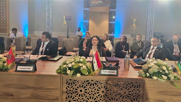 نائبة وزيرة التضامن