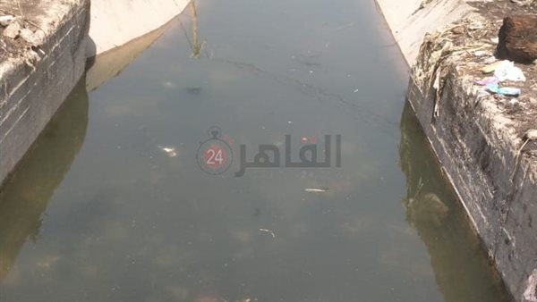 بحر العيوج بعد التطهير