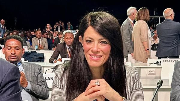 وزيرة التخطيط