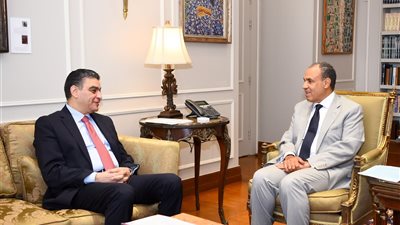 وزير الخارجية والهجرة يلتقي رئيس هيئة الشراء الموحد لبحث تعزيز التعاون في مجال تصدير الدواء المصري إلى القارة الإفريقية