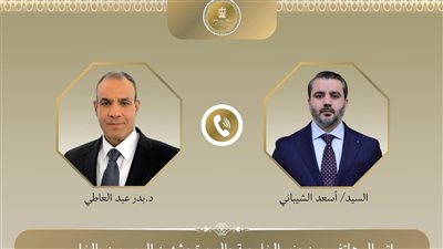 مصر تؤكد رفض الاعتداءات الإسرائيلية على سيادة سوريا.. وعبد العاطي يبحث مع الشيباني مكافحة الإرهاب وتداعيات رفع العقوبات