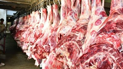 أسعار اللحوم اليوم الأحد 16 نوفمبر 2025 في الأسواق