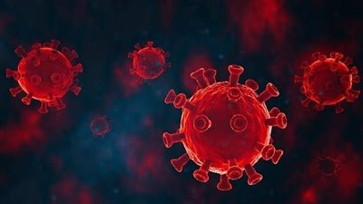 أبرزها الفاكهة.. أطعمة تًعزز من مناعة الجسم ضد فيروس كورونا 