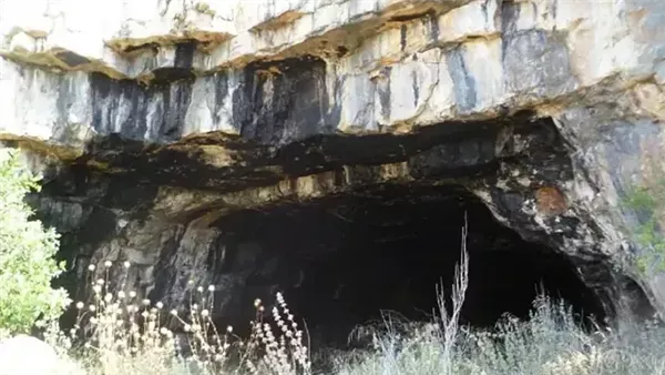  صورة تعبيرية 