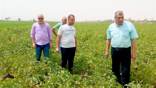 الزراعة بأسيوط