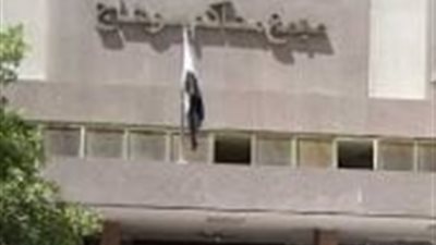 السجن 5 سنوات لعامل أطلق النار على شخصين في سوهاج