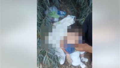 حبس بائع خردة وزوجة شقيقه لاتهامهما بإلقاء رضيع في مقابر بالمنوفية