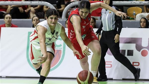 البطولة العربية لكرة