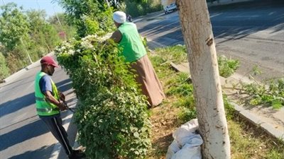 حملات تجميل في شوارع الأقصر وإزالة 17 مخالفة بناء بإسنا 