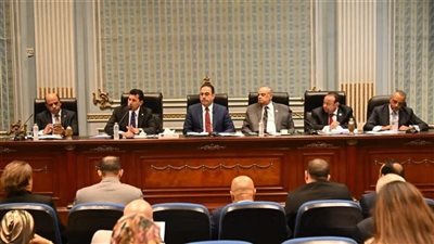 وزير الشباب لـ النواب: بند الـ 8 سنوات سيطبق فور تطبيق قانون الرياضة الجديد