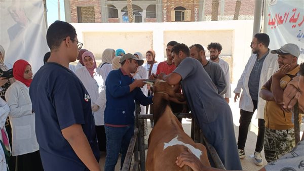 قافلة بيطرية