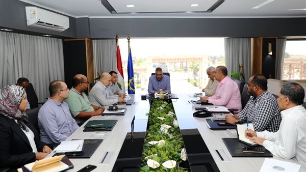 محافظ أسوان