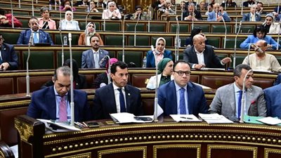 وزير الشباب بعد الموافقة على قانون الرياضة: الحلم أصبح حقيقة