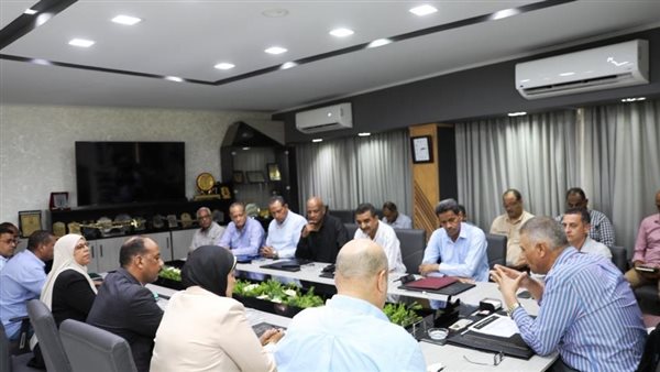 محافظ أسوان