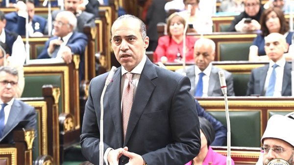 المستشار محمود فوزي