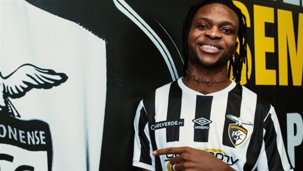 لأنجولي شيكو بانزا