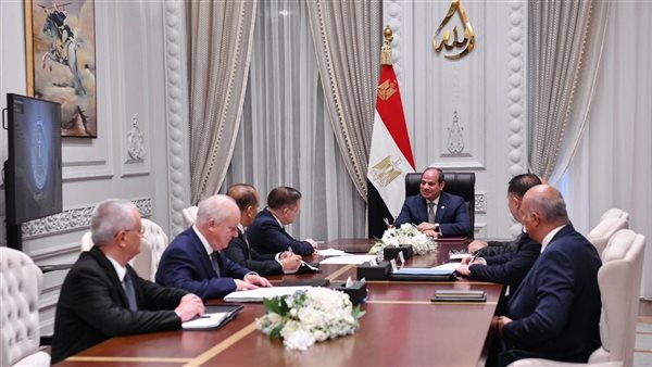 السيسي يلتقي المدير