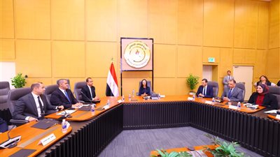 وزيرة التضامن: 11 ألفا و803 أُسر كافلة للأطفال في مصر