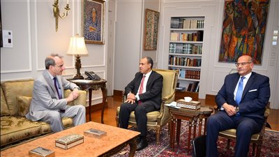وزير الخارجية يستقبل مدير عام السياسات باللجنة اليهودية الأمريكية 