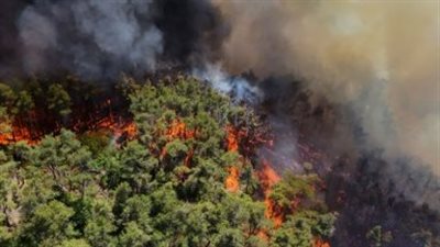 تجدد اشتعال الحرائق في مناطق مختلفة من سوريا