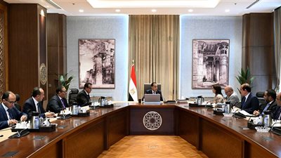 رئيس الوزراء يلتقي المدير الإقليمي لمنظمة الصحة العالمية لإقليم الشرق الأوسط