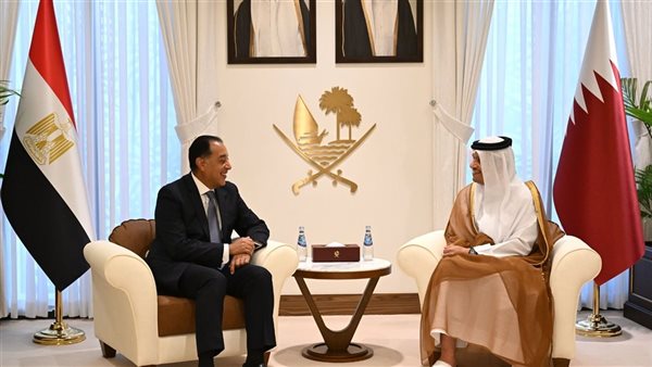 رئيس الوزراء يبحث