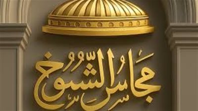 بعد غلق باب التقدم.. 29 مرشحا على المقاعد الفردية لانتخابات مجلس الشيوخ في سوهاج | أسماء 