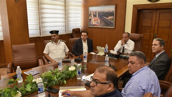 الجهود التنفيذية