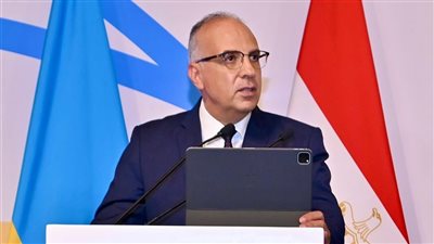 بقمية 100 مليون دولار.. وزير الري: مصر تموّل مشروعات تنموية بدول حوض النيل الجنوبي