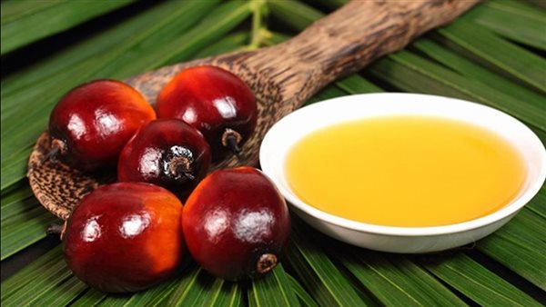 زيت النخيل ـ تعبيرية