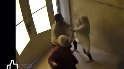 سيدة مسنة تتعرض للاعتداء من مستأجرين بعد دعوى طرد لامتناعهم عن دفع الإيجار.. ونجلتها: ضربونا وحجزوني 