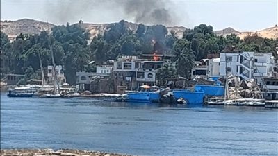 السيطرة على حريق هيش بجزيرة على ضفاف النيل بأسوان