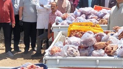 ضبط 3 أطنان لحوم دواجن منتهية الصلاحية في حملة تموينية بسوهاج | صور