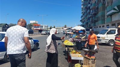 بورسعيد × 24 ساعة| إزالة تعديات على 40 فدانًا.. وإعلان موعد انطلاق 100 يوم صحة لتقديم الرعاية لجميع الفئات