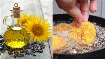 أضرار الإفراط في تناول زيت دوار الشمس .. تعرف على التفاصيل