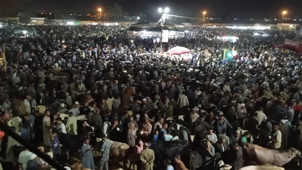 سوق المواشي بدمنهور