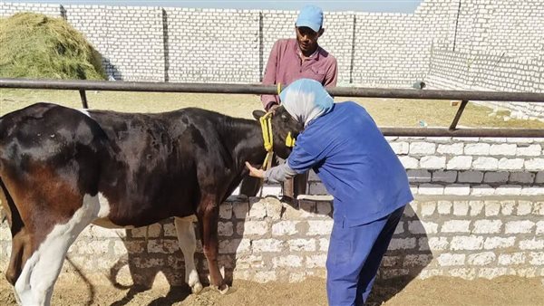 جانب من حملة التحصين