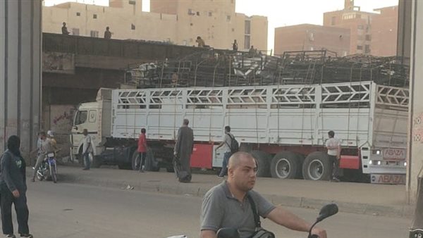  شلل مرورى أسفل دائري