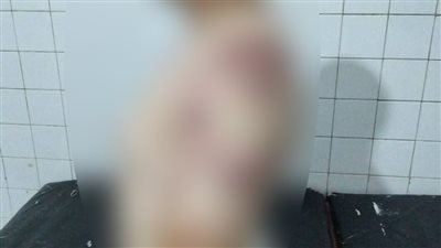 استدرجوه من قدام بيته إلى مزرعة في نكلا.. إجبار شاب على توقيع شيكات بـ 2 مليون جنيه | صور