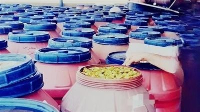 ضبط 110 أطنان مخللات وملح مجهول المصدر داخل مصنع غير مرخص في البحيرة