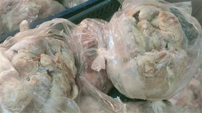 صحة القليوبية تضبط محل يورّد دواجن غير صالحة للمطاعم والتحفظ على 2 طن منتجات فاسدة