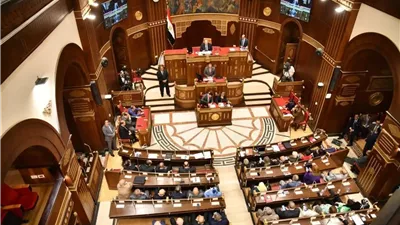 يتصدرها حازم الجندي.. أسماء مرشحي القائمة الوطنية لانتخابات الشيوخ بدائرة القاهرة وجنوب ووسط الدلتا 