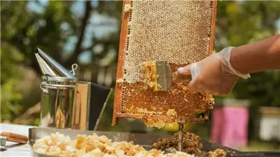 العسل الخام.. علاج بسيط لـ بشرة صحية دون مواد كيميائية