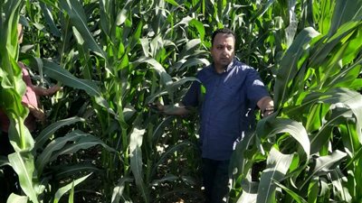 انطلاق حملة موسعة لمكافحة 