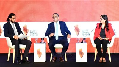 الهيئة العامة للاستثمار: نسعى للاستفادة من ثروات مصر التعدينية 