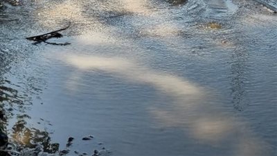 انفجار خط مياه 12 بوصة في المنوفية.. وتحرك عاجل من شركة المياه والمحليات