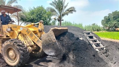 إزالة مكامير الفحم النباتي المخالفة بعدة مراكز في الدقهلية للحد من التلوث