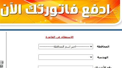 في دقائق وبدون تحميل.. إزاي تعمل استعلام عن فاتورة الكهرباء من الموبايل؟