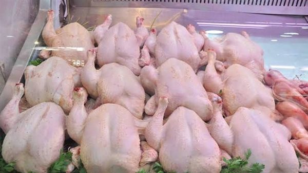 أسعار الدواجن 